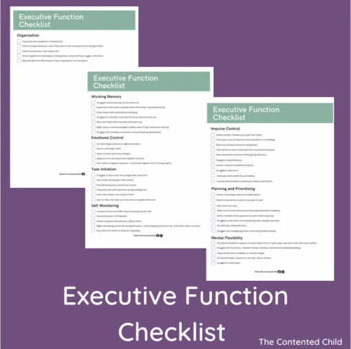 EXECUTIVE FUNCTION CHECKLIST