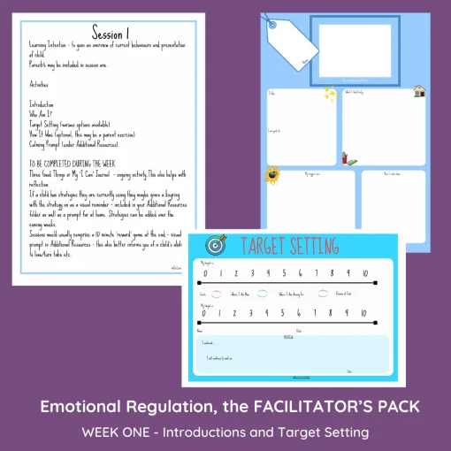 EMOTIONAL REGULATION 6-11 YEARS - THE FACILITATOR'S PACK - Image 3