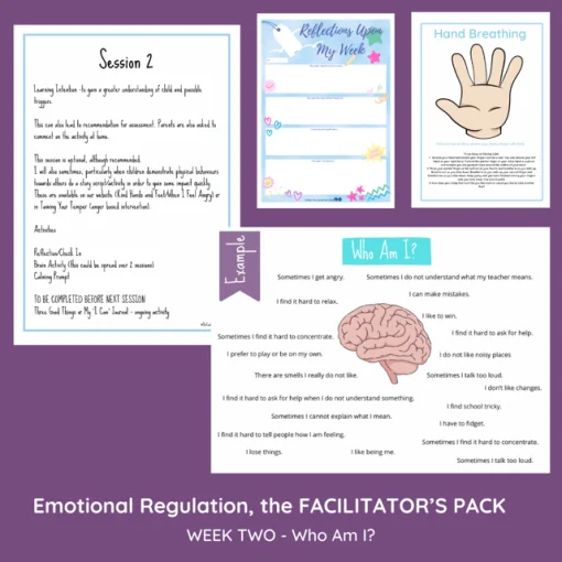 EMOTIONAL REGULATION 6-11 YEARS - THE FACILITATOR'S PACK - Image 4
