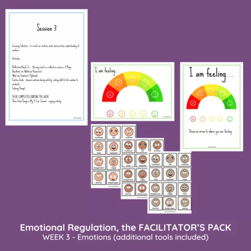 EMOTIONAL REGULATION 6-11 YEARS - THE FACILITATOR'S PACK - Image 5