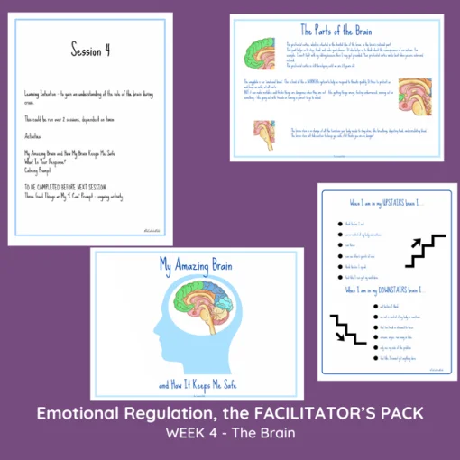 EMOTIONAL REGULATION 6-11 YEARS - THE FACILITATOR'S PACK - Image 6