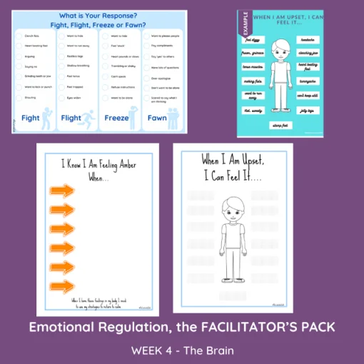 EMOTIONAL REGULATION 6-11 YEARS - THE FACILITATOR'S PACK - Image 7