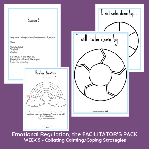 EMOTIONAL REGULATION 6-11 YEARS - THE FACILITATOR'S PACK - Image 8