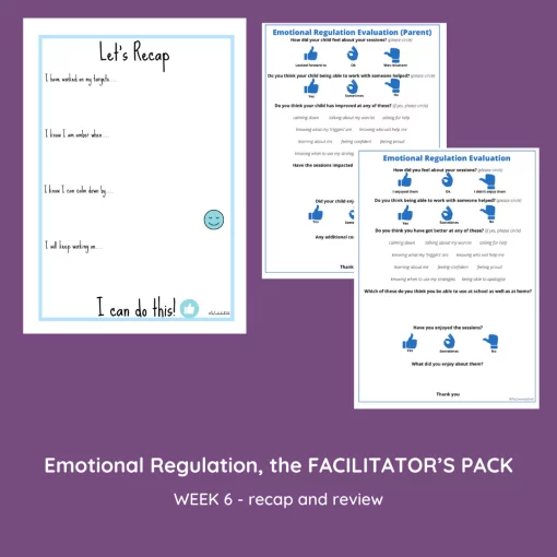 EMOTIONAL REGULATION 6-11 YEARS - THE FACILITATOR'S PACK - Image 9
