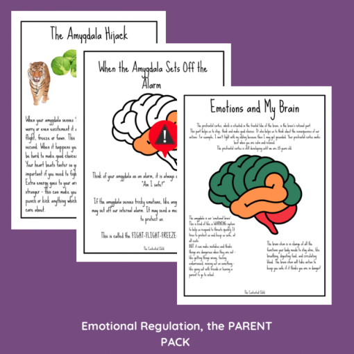 EMOTIONAL REGULATION, the PARENT PACK (age 4-12yrs) - Image 5
