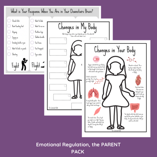 EMOTIONAL REGULATION, the PARENT PACK (age 4-12yrs) - Image 6