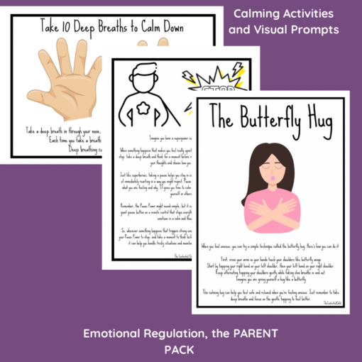 EMOTIONAL REGULATION, the PARENT PACK (age 4-12yrs) - Image 7