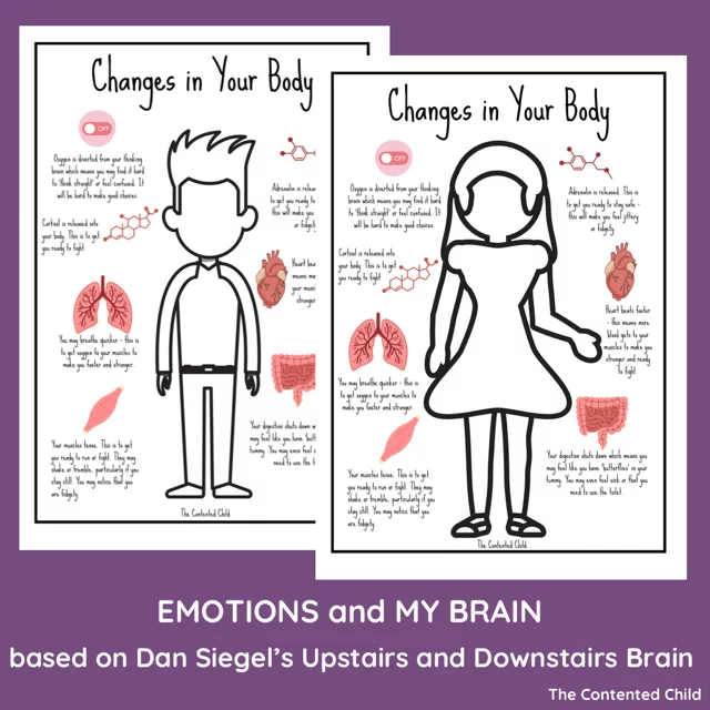 EMOTIONS and MY BRAIN, based on Dan Siegel's UPSTAIRS AND DOWNSTAIRS BRAIN - Image 8