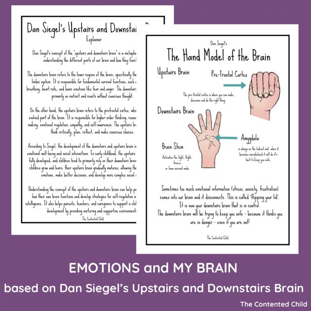 EMOTIONS and MY BRAIN, based on Dan Siegel's UPSTAIRS AND DOWNSTAIRS BRAIN - Image 2
