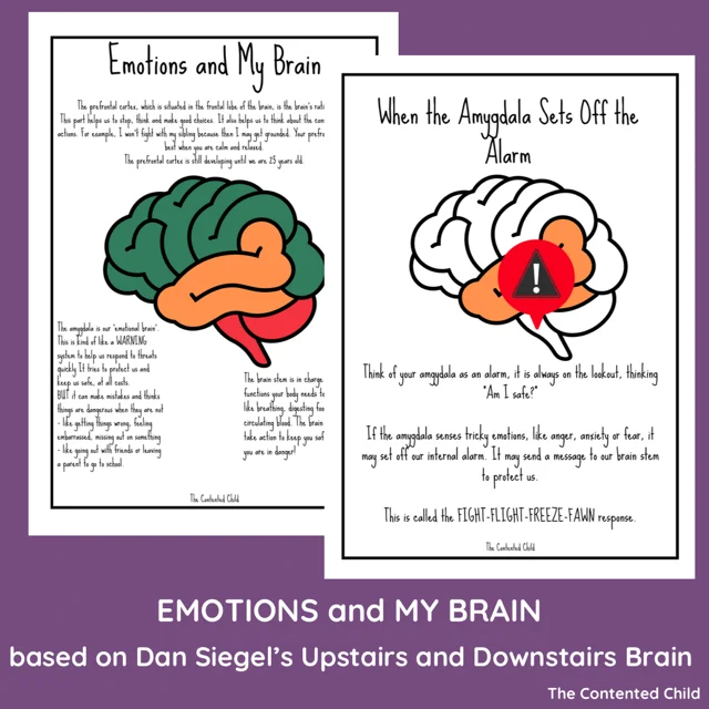 EMOTIONS and MY BRAIN, based on Dan Siegel's UPSTAIRS AND DOWNSTAIRS BRAIN - Image 3