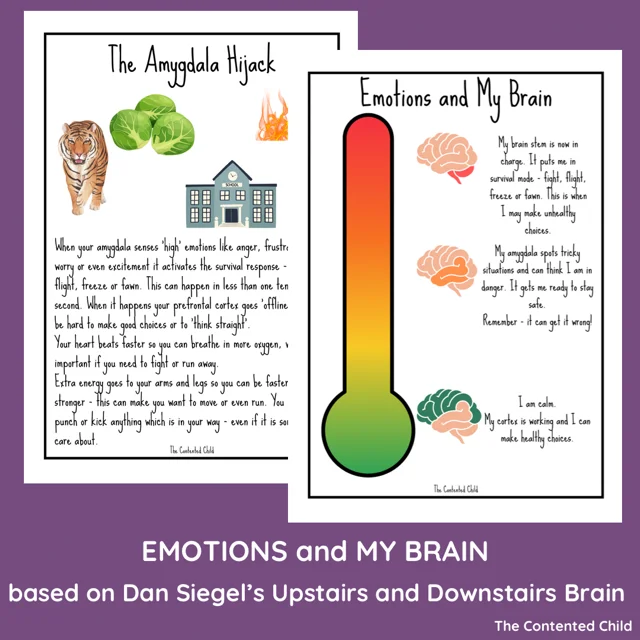 EMOTIONS and MY BRAIN, based on Dan Siegel's UPSTAIRS AND DOWNSTAIRS BRAIN - Image 4