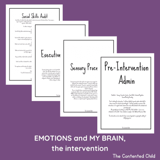 EMOTIONS and MY BRAIN, the INTERVENTION (Facilitator Pack) - Image 2