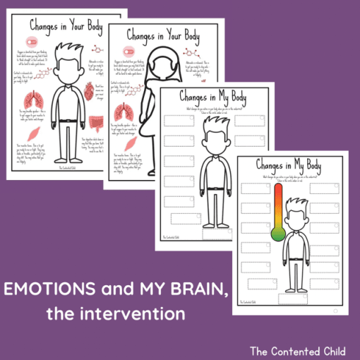 EMOTIONS and MY BRAIN, the INTERVENTION (Facilitator Pack) - Image 15