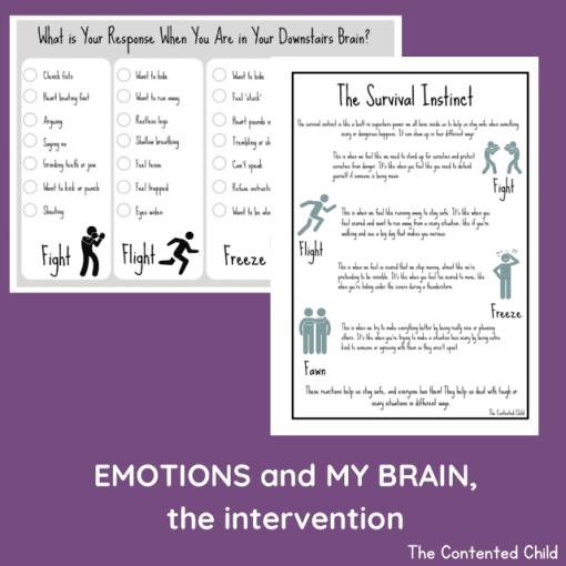 EMOTIONS and MY BRAIN, the INTERVENTION (Facilitator Pack) - Image 4