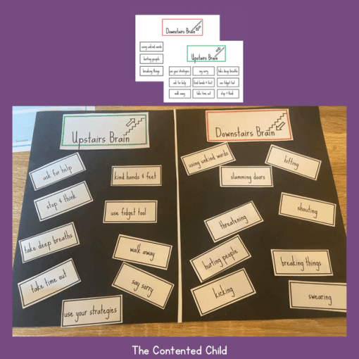 EMOTIONS and MY BRAIN, the INTERVENTION (Facilitator Pack) - Image 9