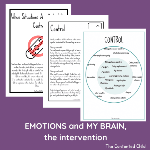 EMOTIONS and MY BRAIN, the INTERVENTION (Facilitator Pack) - Image 13