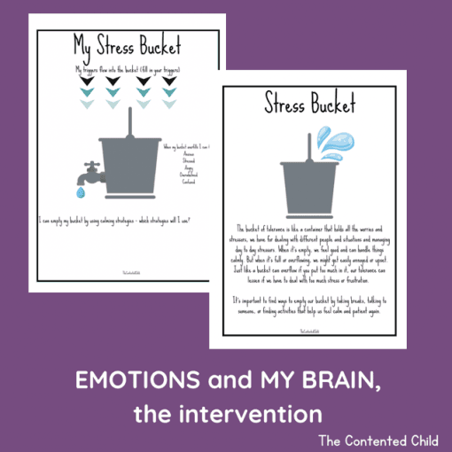 EMOTIONS and MY BRAIN, the INTERVENTION (Facilitator Pack) - Image 12
