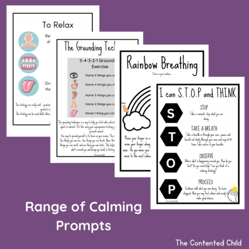EMOTIONS and MY BRAIN, the INTERVENTION (Facilitator Pack) - Image 5
