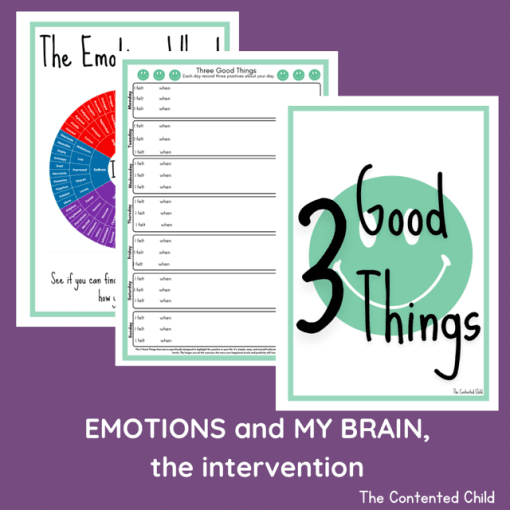 EMOTIONS and MY BRAIN, the INTERVENTION (Facilitator Pack) - Image 8
