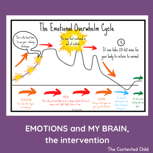 EMOTIONS and MY BRAIN, the INTERVENTION (Facilitator Pack) - Image 11