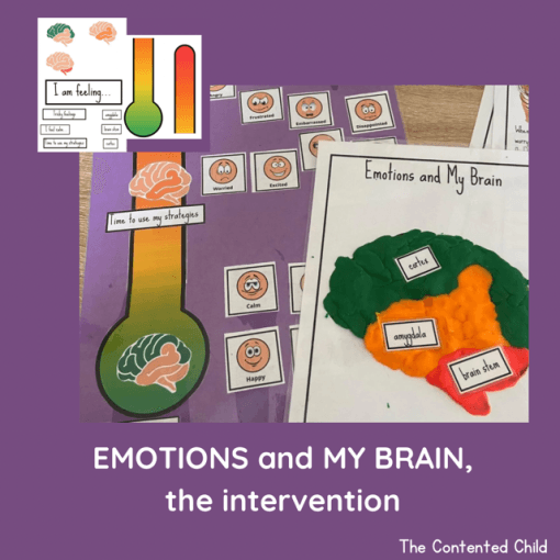 EMOTIONS and MY BRAIN, the INTERVENTION (Facilitator Pack) - Image 14