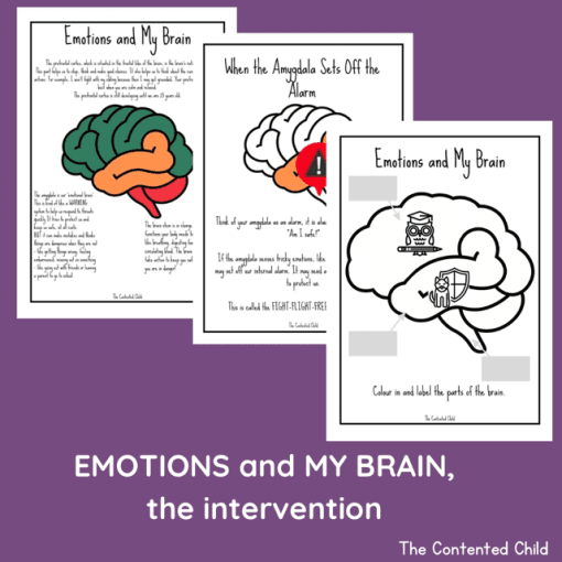 EMOTIONS and MY BRAIN, the INTERVENTION (Facilitator Pack) - Image 3