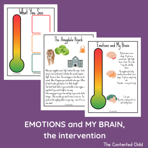 EMOTIONS and MY BRAIN, the INTERVENTION (Facilitator Pack) - Image 16