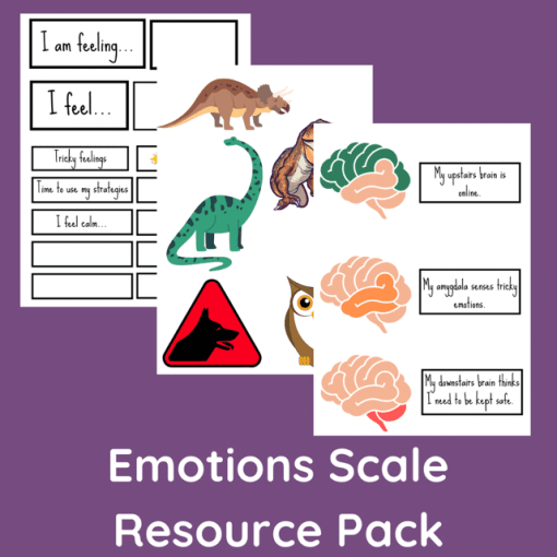 EMOTIONS SCALE RESOURCE PACK - Image 3