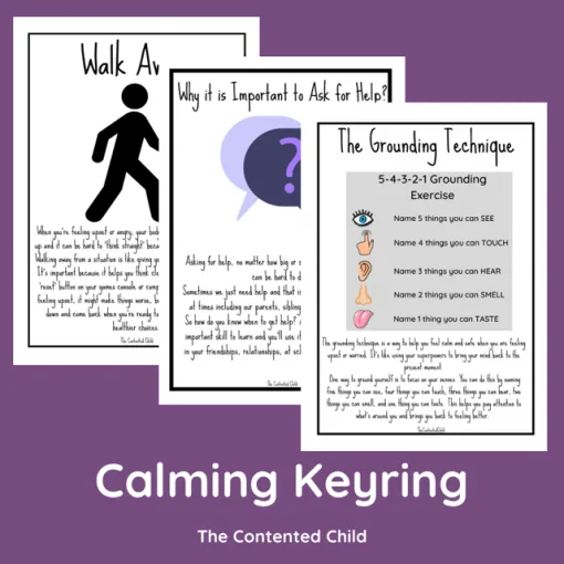 CALMING KEYRING - Image 4