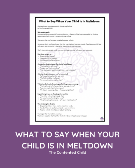 WHAT TO SAY WHEN YOUR CHILD IS IN MELTDOWN
