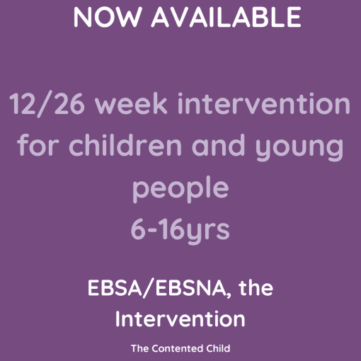 EBSA/EBSNA - THE INTERVENTION FOR THE CHILD WHO FINDS IT DIFFICULT TO ATTEND SCHOOL - Image 2