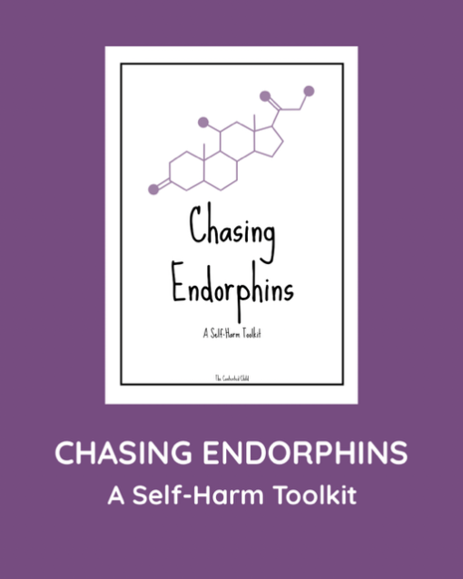 CHASING ENDORPHINS - A SELF-HARM TOOLKIT (ages 10-18)
