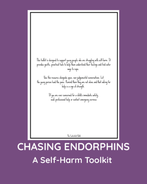CHASING ENDORPHINS - A SELF-HARM TOOLKIT (ages 10-18) - Image 2