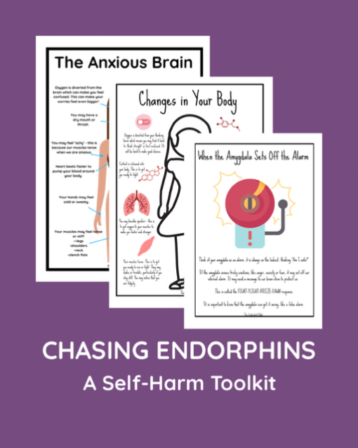 CHASING ENDORPHINS - A SELF-HARM TOOLKIT (ages 10-18) - Image 11