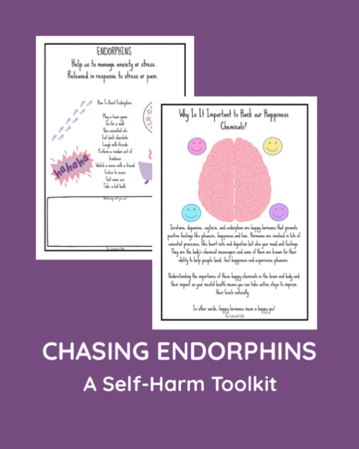 CHASING ENDORPHINS - A SELF-HARM TOOLKIT (ages 10-18) - Image 12