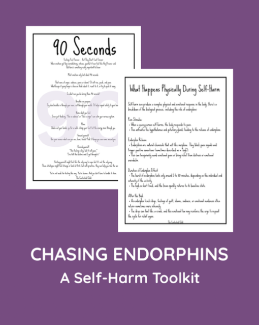 CHASING ENDORPHINS - A SELF-HARM TOOLKIT (ages 10-18) - Image 13