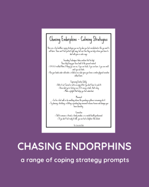 CHASING ENDORPHINS - A SELF-HARM TOOLKIT (ages 10-18) - Image 15
