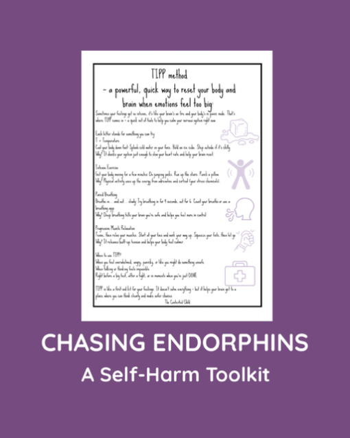 CHASING ENDORPHINS - A SELF-HARM TOOLKIT (ages 10-18) - Image 16