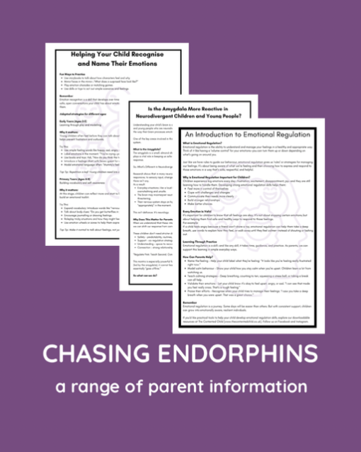 CHASING ENDORPHINS - A SELF-HARM TOOLKIT (ages 10-18) - Image 18