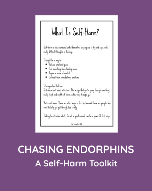 CHASING ENDORPHINS - A SELF-HARM TOOLKIT (ages 10-18) - Image 3