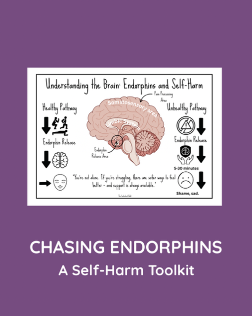 CHASING ENDORPHINS - A SELF-HARM TOOLKIT (ages 10-18) - Image 4