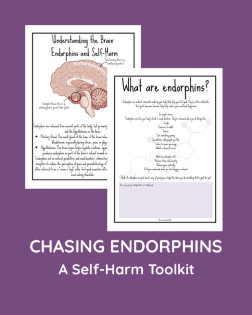 CHASING ENDORPHINS - A SELF-HARM TOOLKIT (ages 10-18) - Image 7