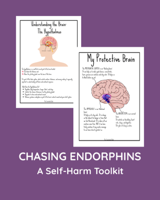 CHASING ENDORPHINS - A SELF-HARM TOOLKIT (ages 10-18) - Image 6