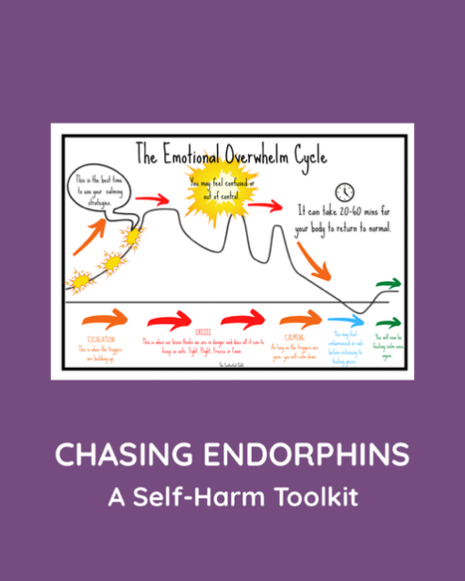 CHASING ENDORPHINS - A SELF-HARM TOOLKIT (ages 10-18) - Image 9