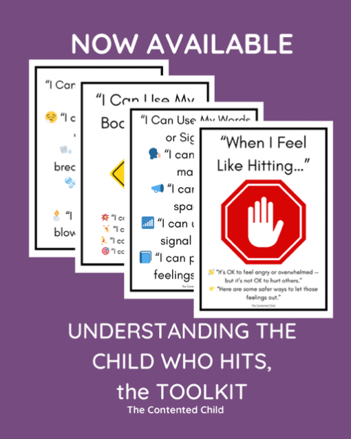 WHEN A CHILD HITS:  PARENT AND EDUCATOR TOOLKIT - Image 10
