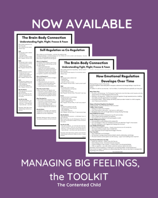 MANAGING BIG FEELINGS, a TOOLKIT FOR PARENTS & EDUCATORS - Image 2