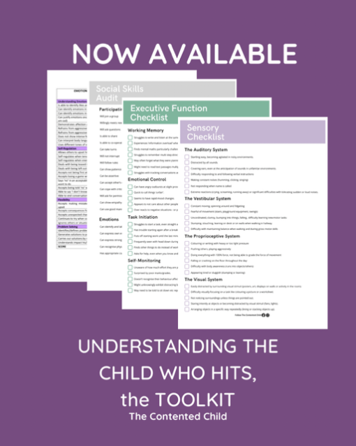 WHEN A CHILD HITS:  PARENT AND EDUCATOR TOOLKIT - Image 5