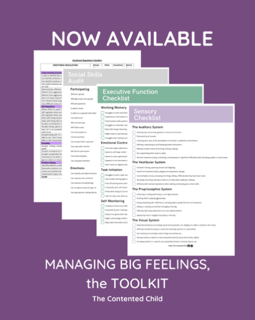 MANAGING BIG FEELINGS, a TOOLKIT FOR PARENTS & EDUCATORS - Image 3