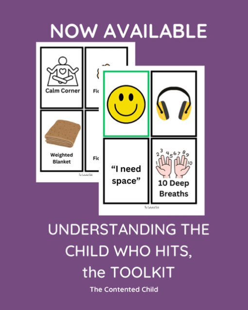 WHEN A CHILD HITS:  PARENT AND EDUCATOR TOOLKIT - Image 12