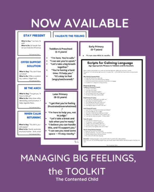 MANAGING BIG FEELINGS, a TOOLKIT FOR PARENTS & EDUCATORS - Image 4
